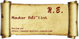 Mauker Bálint névjegykártya